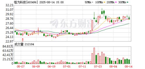 恒為科技布局新賽道，投資成立數(shù)字技術(shù)服務(wù)公司