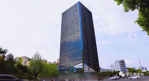 墊江 揚(yáng)帆啟航高新路，數(shù)字技術(shù)服務(wù)賦能縣域發(fā)展新篇章